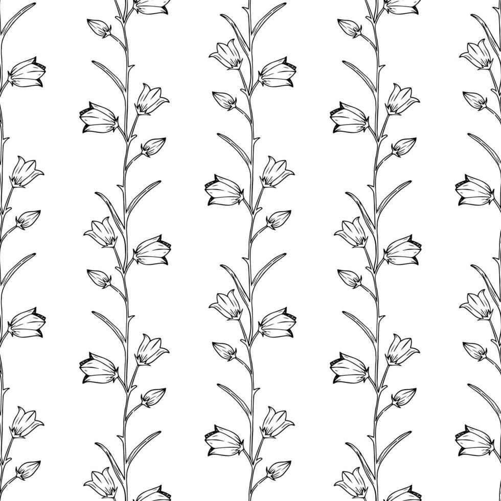 Vector seamless pattern with hand drawn doodle bellflower. Vector wildflower in realistic style. Campanula sketch background. Outline. Floral Wallpaper.