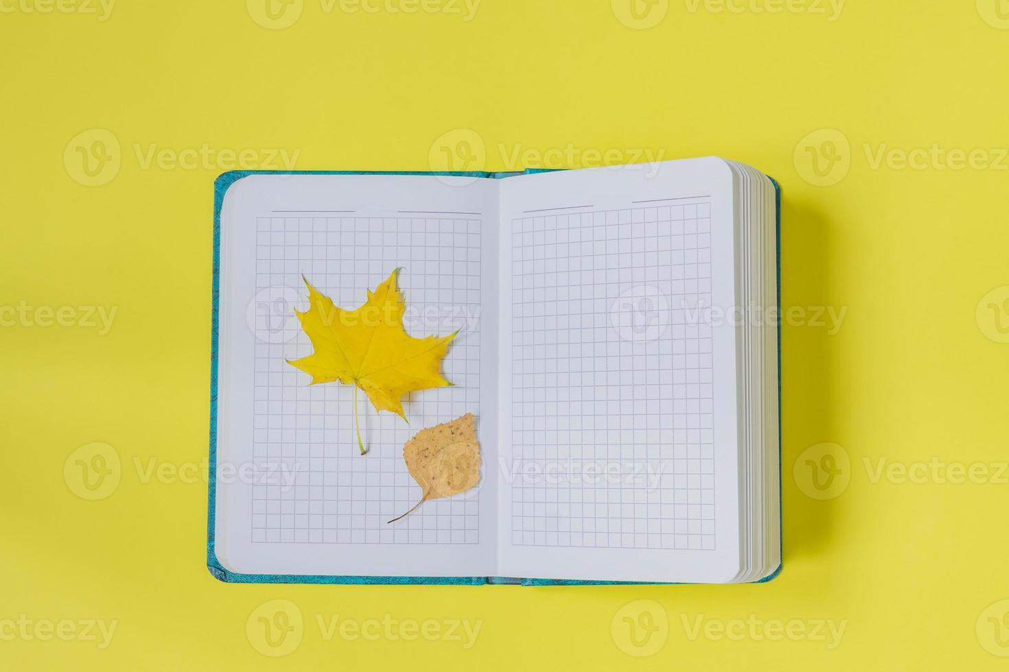 Blank open notebook with maple and birch leaves  on yellow background. Empty diary and autumn concept photo