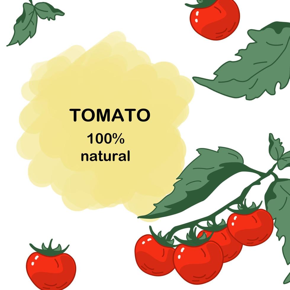 plantilla de diseño de tomate cherry en composición de marco vector