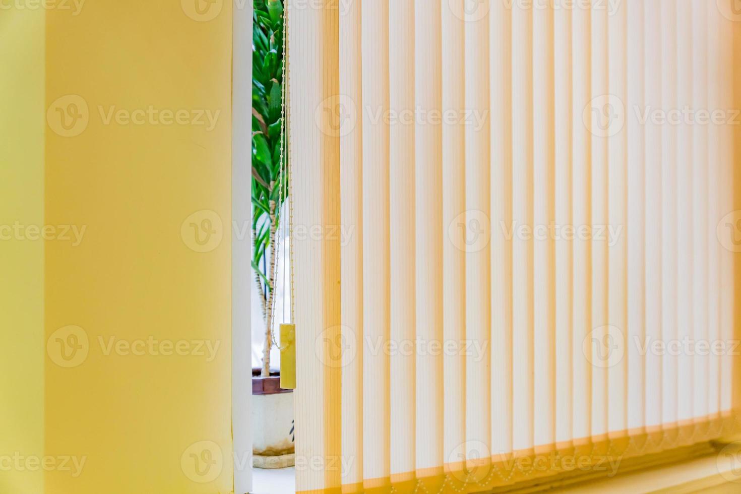 perspective view of jalousie and potted plant on windows sill photo