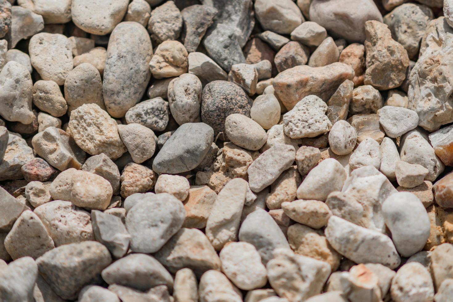 textura de fondo de grava. primer plano de pequeñas piedras en el suelo foto