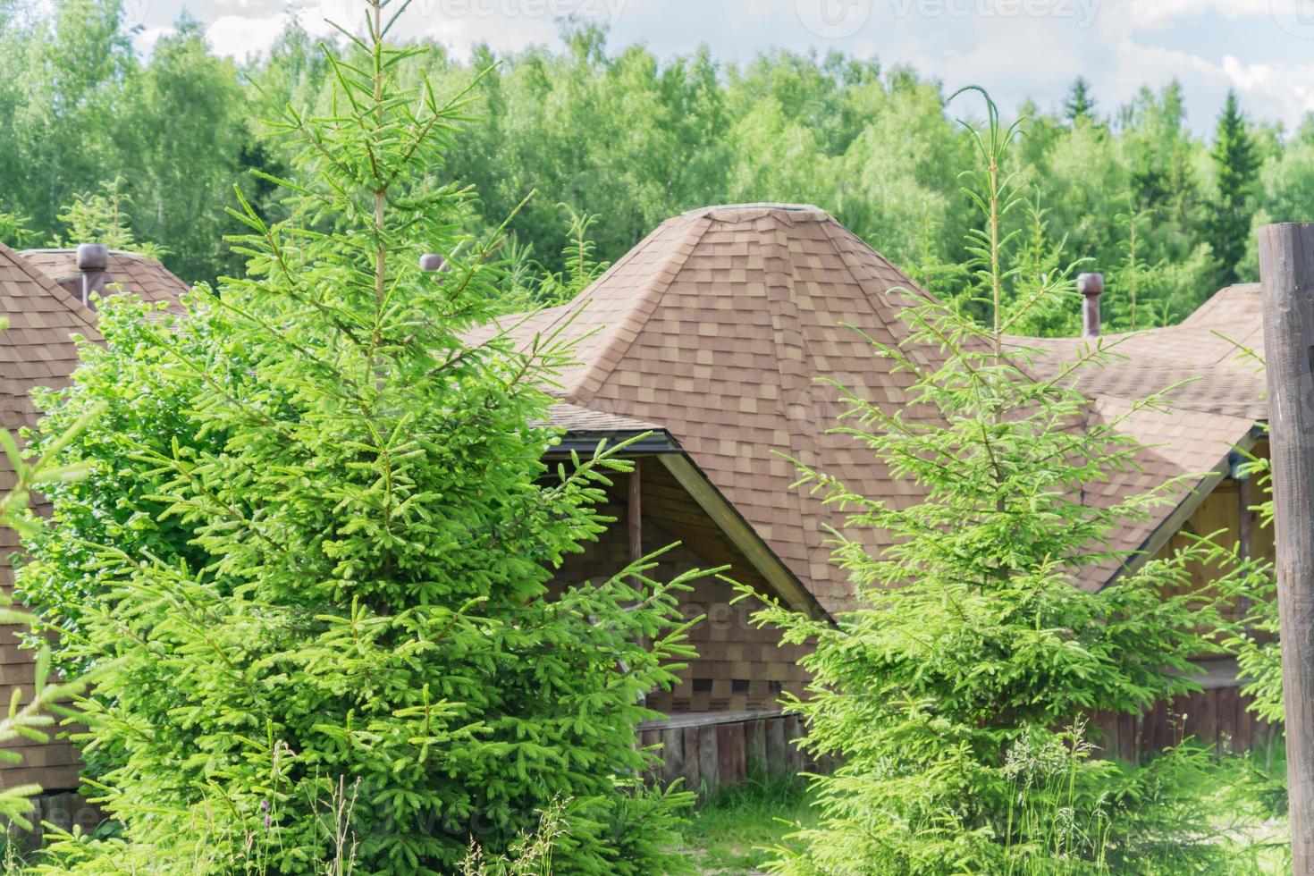 wooden house at the edge of the forest under dramatic sky photo