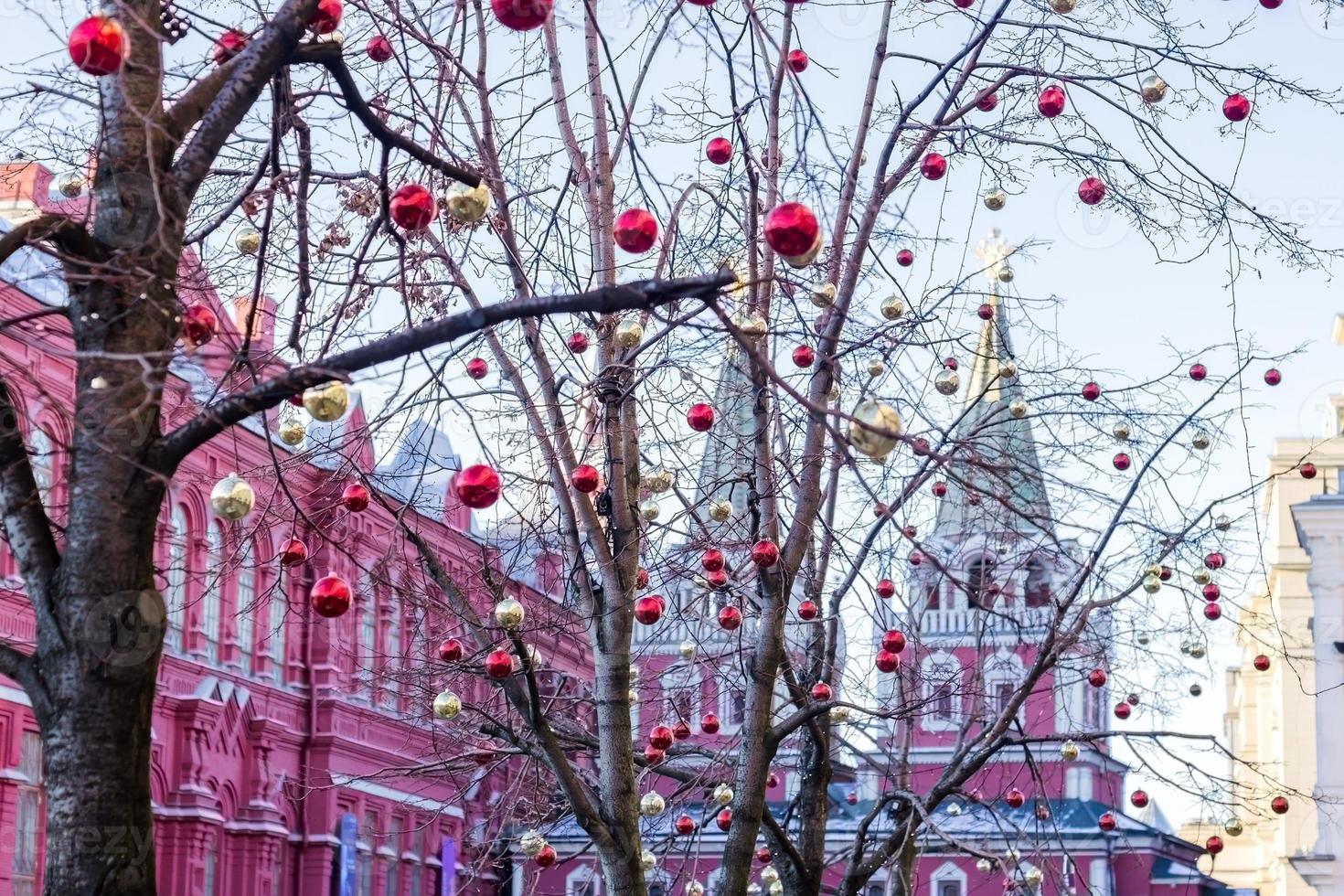 Christmas and New Year holidays background. tree without leaves decorated with red and gold balls photo