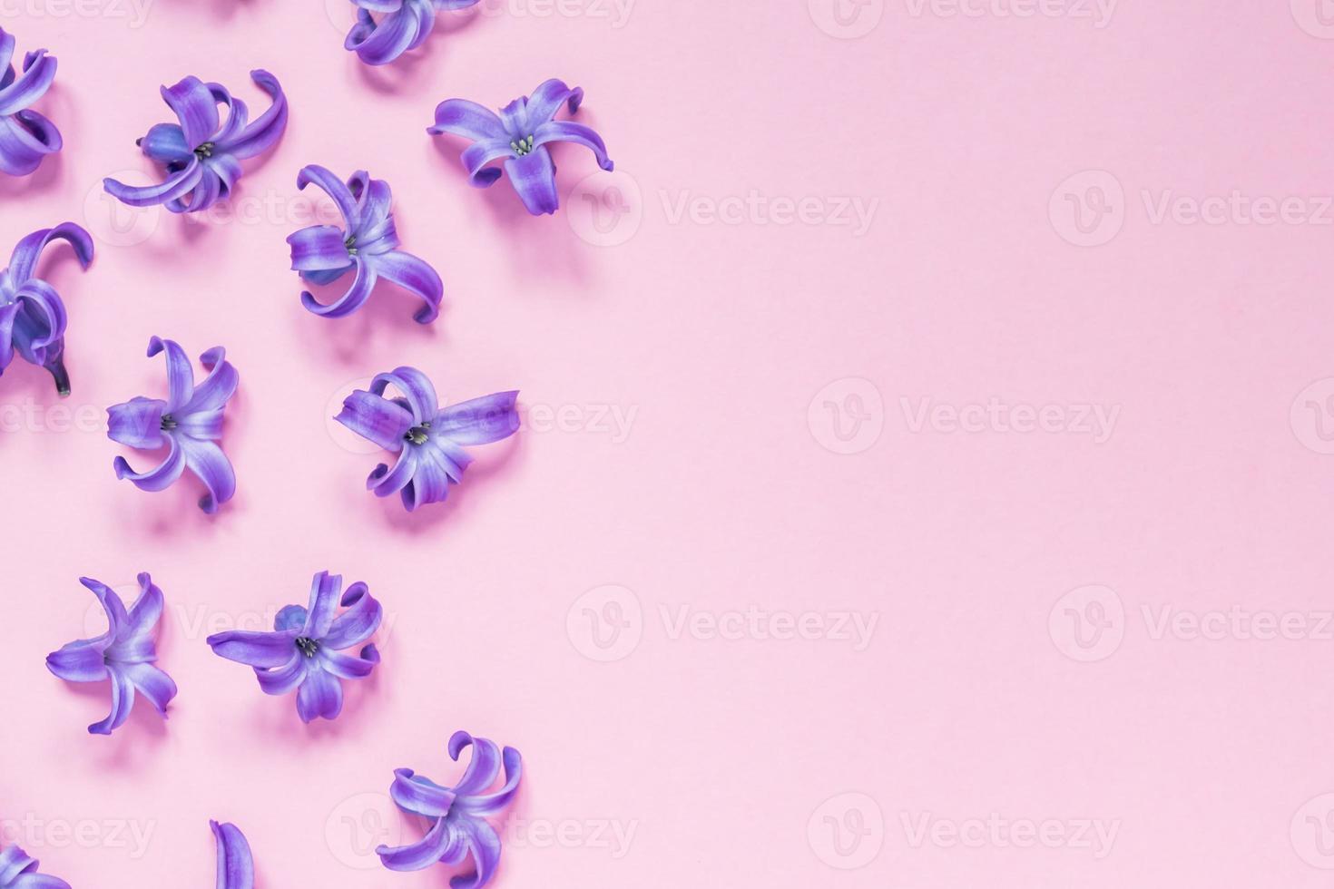 hermoso fondo floral rosa pastel. pequeñas flores moradas de jacinto.  endecha plana, vista superior, espacio de copia 10608516 Foto de stock en  Vecteezy