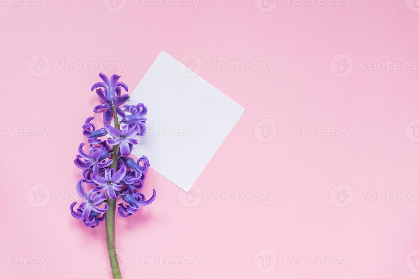 Bosquejo. etiqueta de papel epty con jacinto lila sobre fondo rosa pastel. vista superior, plano con espacio de copia foto