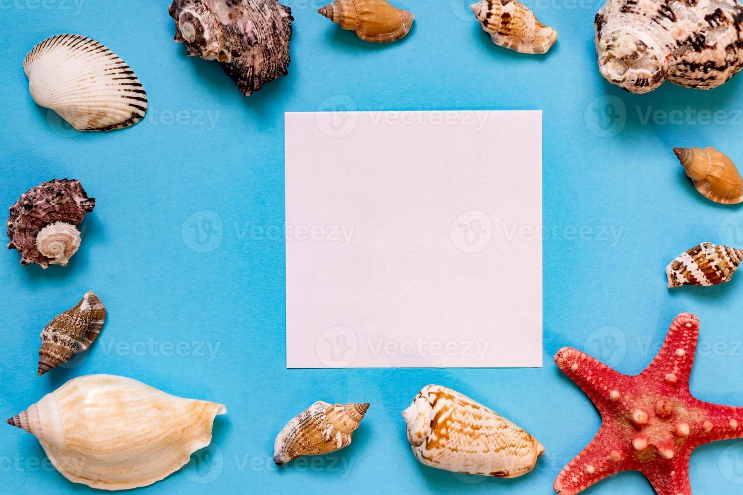 conchas marinas y estrellas de mar sobre fondo azul claro con espacio de copia. concepto de vacaciones y vacaciones de verano foto