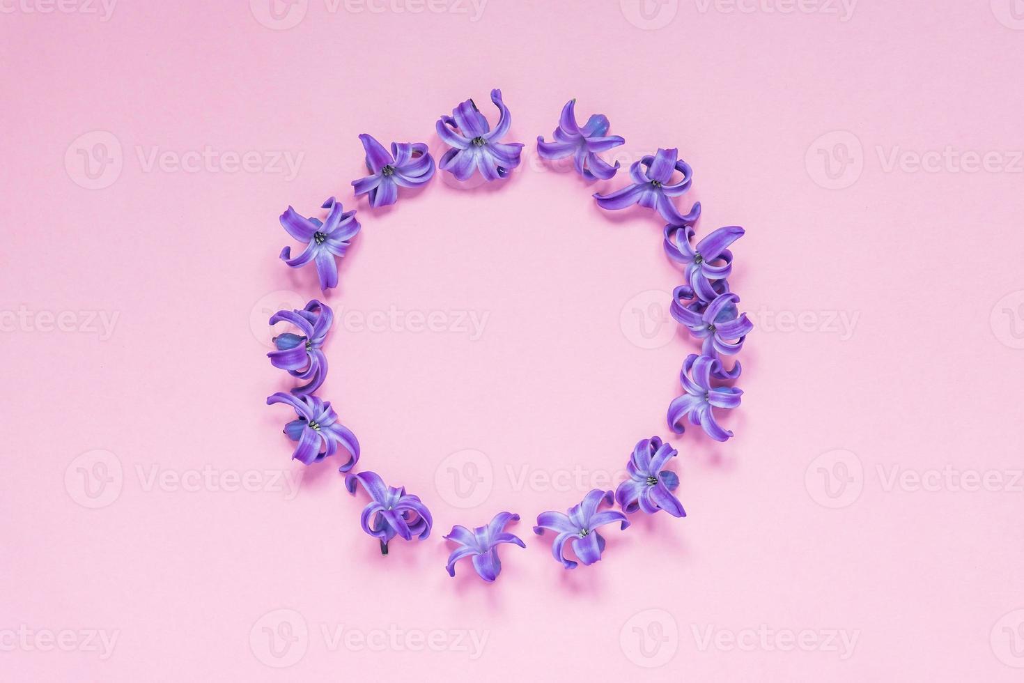 Round frame of pastel purple hyecinth flowers on gradient pink background. Floral wreath. Layout for holidays greeting of Mothers day, birthday, wedding or other happy event photo