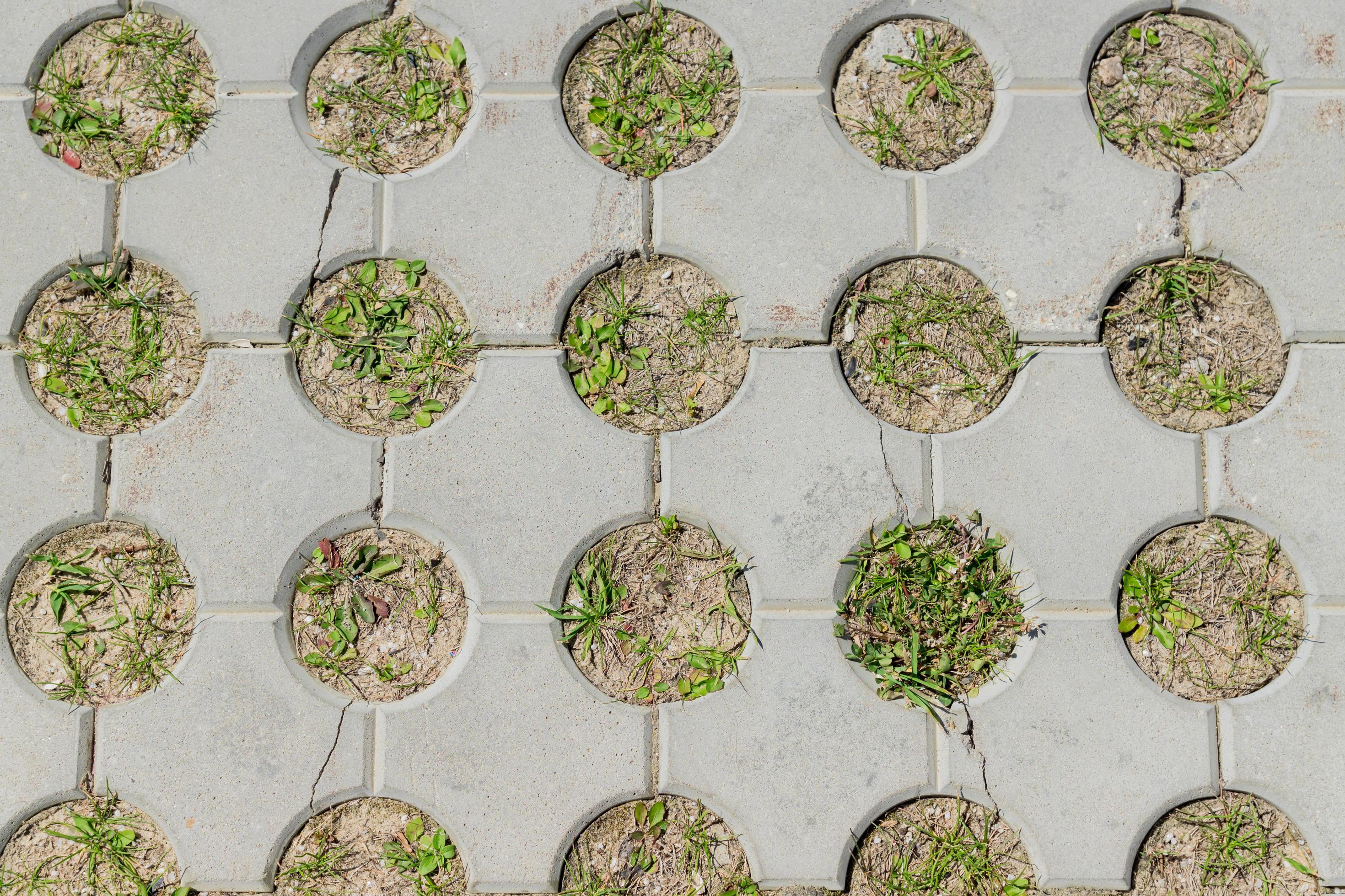 top view of concrete pavement with growing grass. Background texture