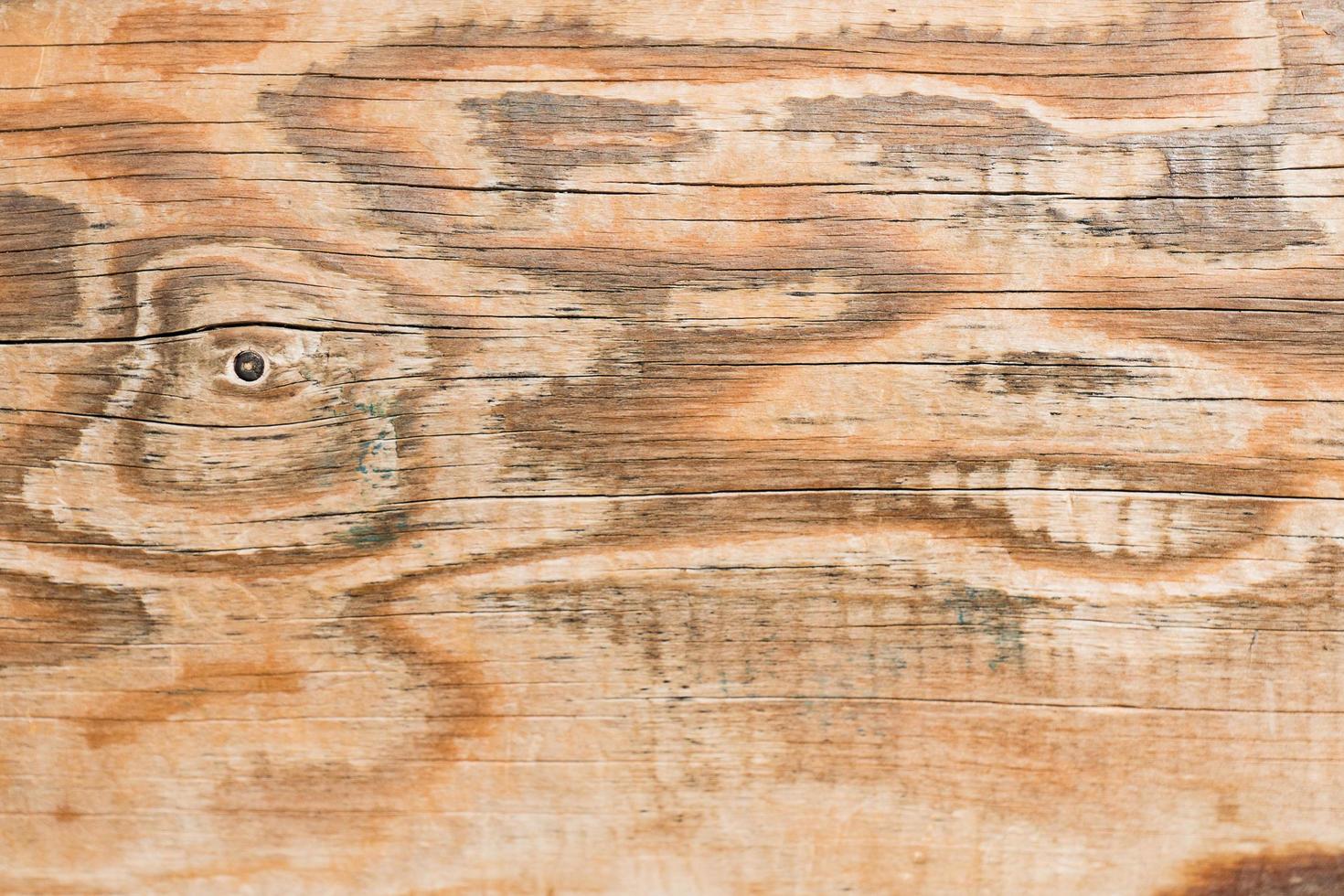 fondo texturizado de troncos de madera. de cerca foto