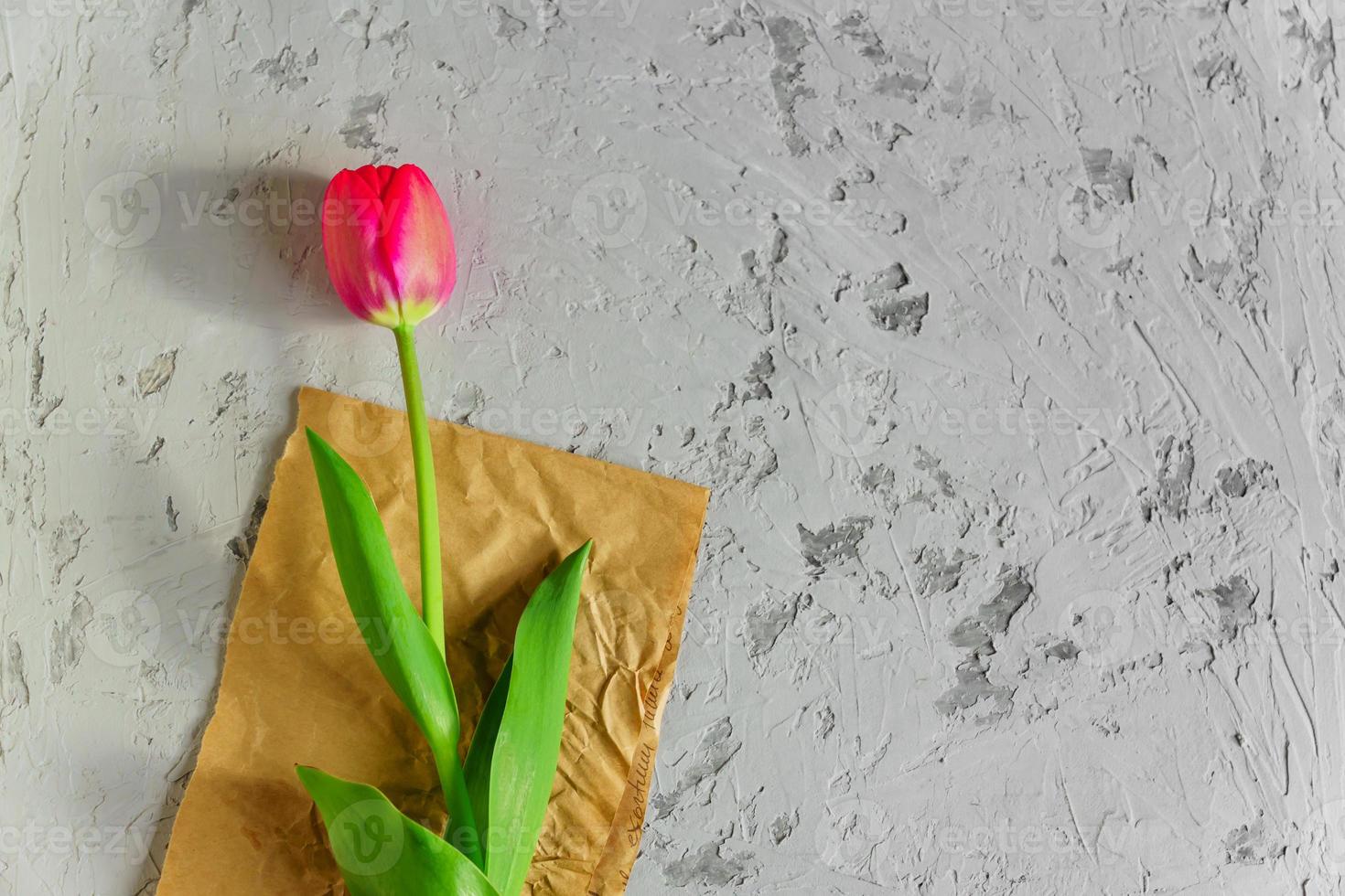 vista superior del tulipán rojo floreciente fresco sobre papel artesanal y fondo texturado gris. copie el espacio foto