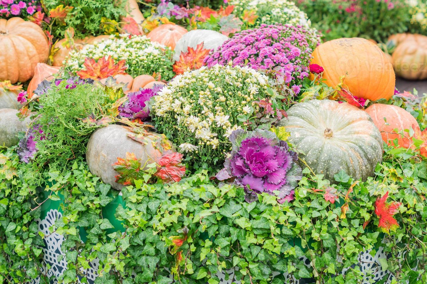 Halloween autumn decoration of pumkins and chrysanthemum flowers on street. Rural market concept photo