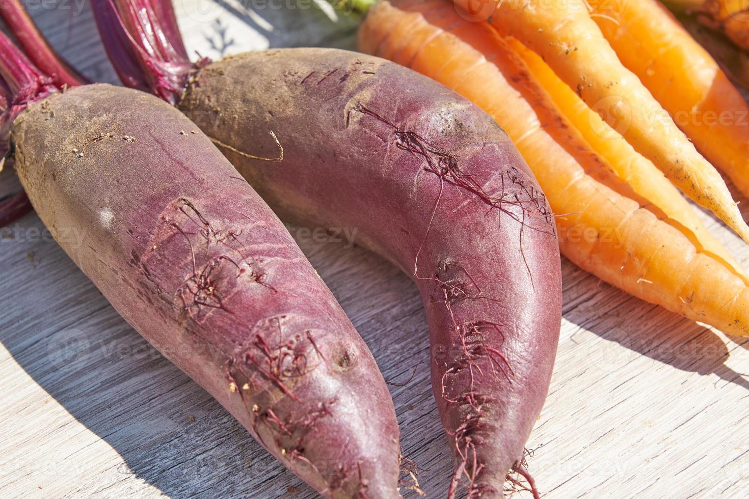 close up of Freshly harvested homegrown organic beetroot, onion and carrot on wooden table. photo