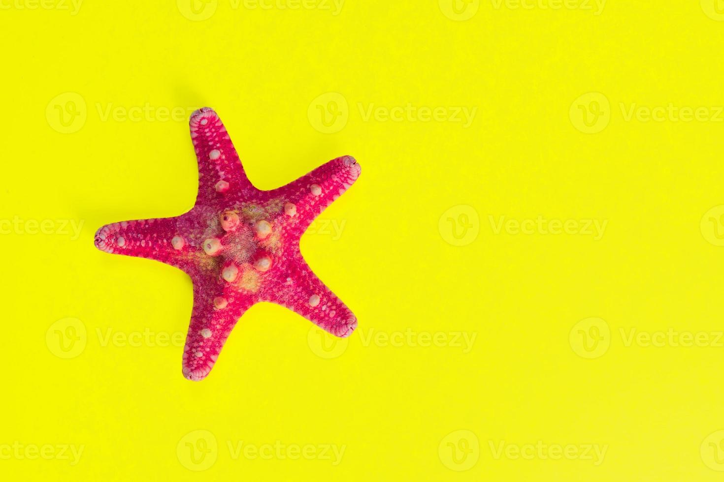 Red starfish on light yellow background with copy space. summer holiday