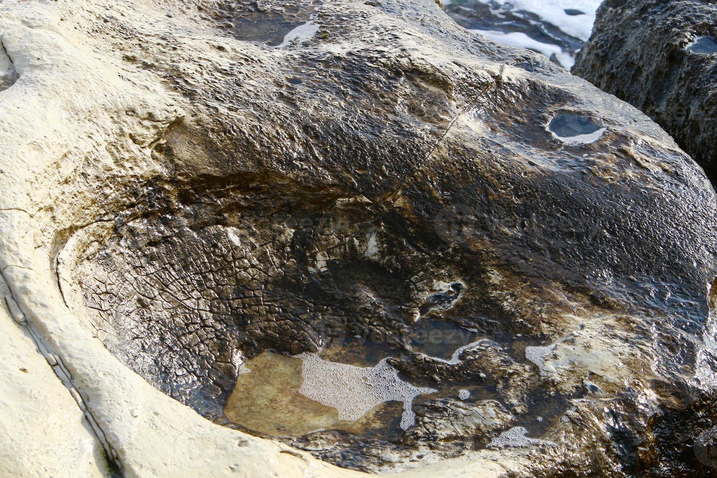 Texture of rocks and stones in a city park in Israel. photo