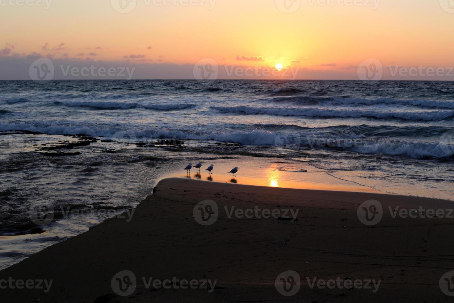 el sol se pone por debajo del horizonte en el mar mediterráneo en el norte de israel. foto