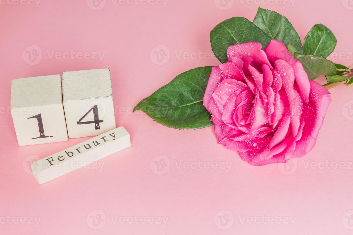 valentines day and holidays concept - close up of wooden calendar with 14th february date,  and pink rose on pink background photo