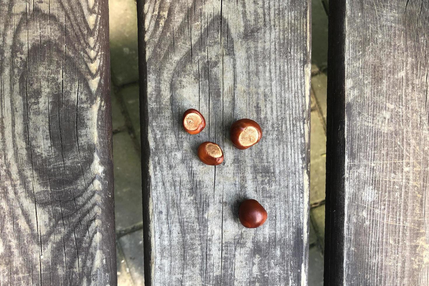 chestnuts on fooden background. Autumn concept with copy space, minimal flat lay photo