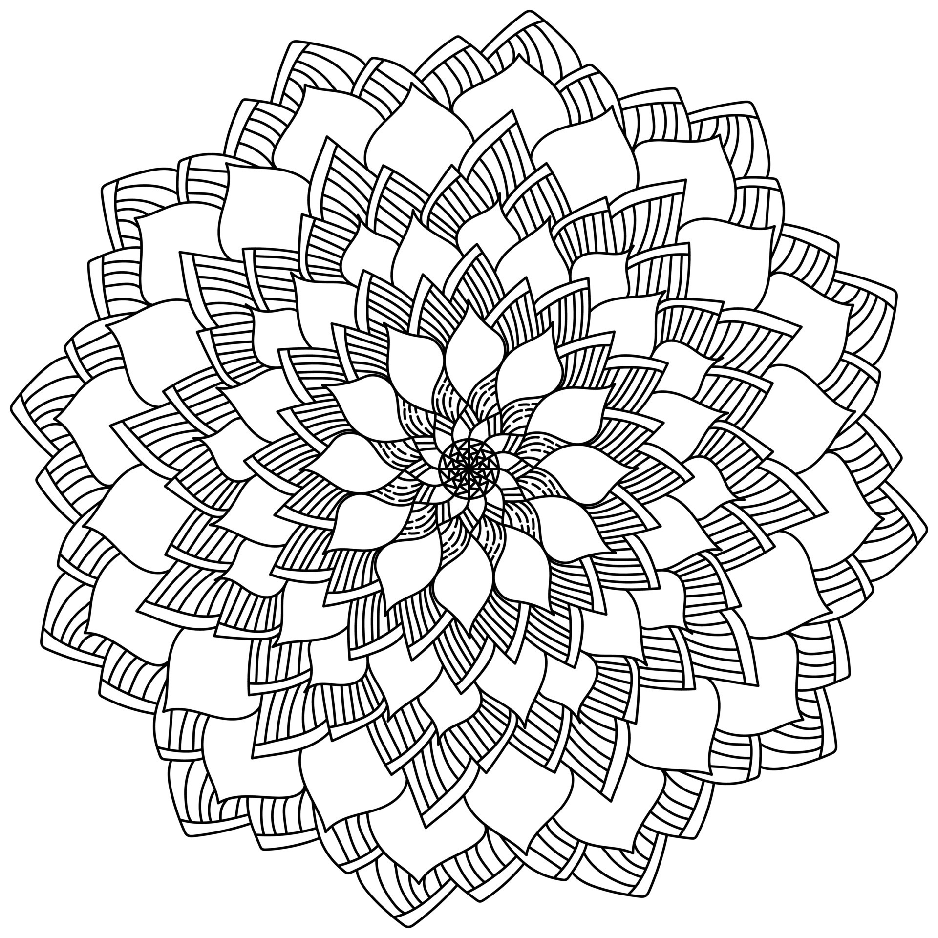 Mandala sencillo con pétalos - Mandalas - Colorear para Adultos