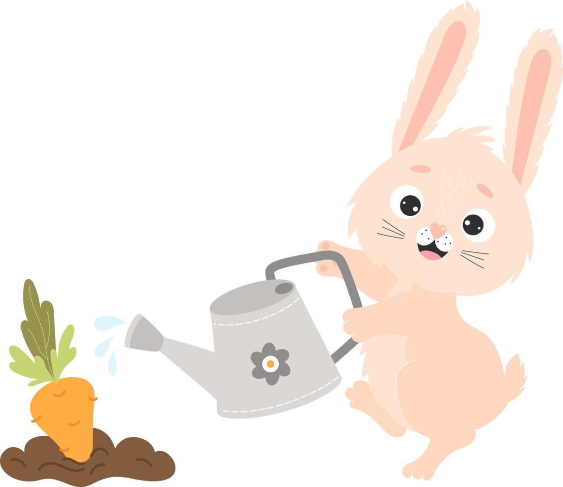 Cute bunny watering carrots in garden vector