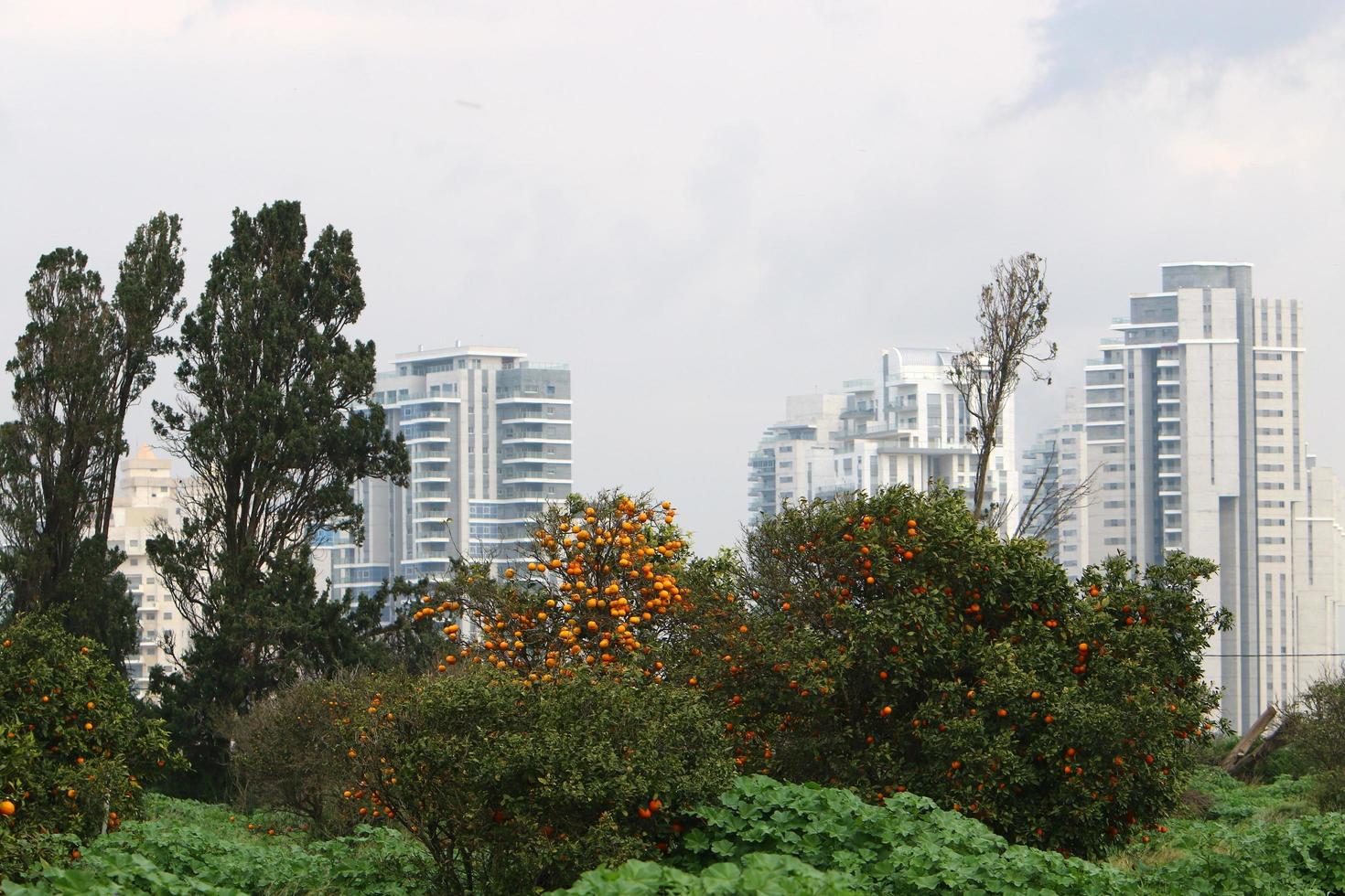 February 20, 2019 . Netanya is a city on the Mediterranean Sea in Israel. photo