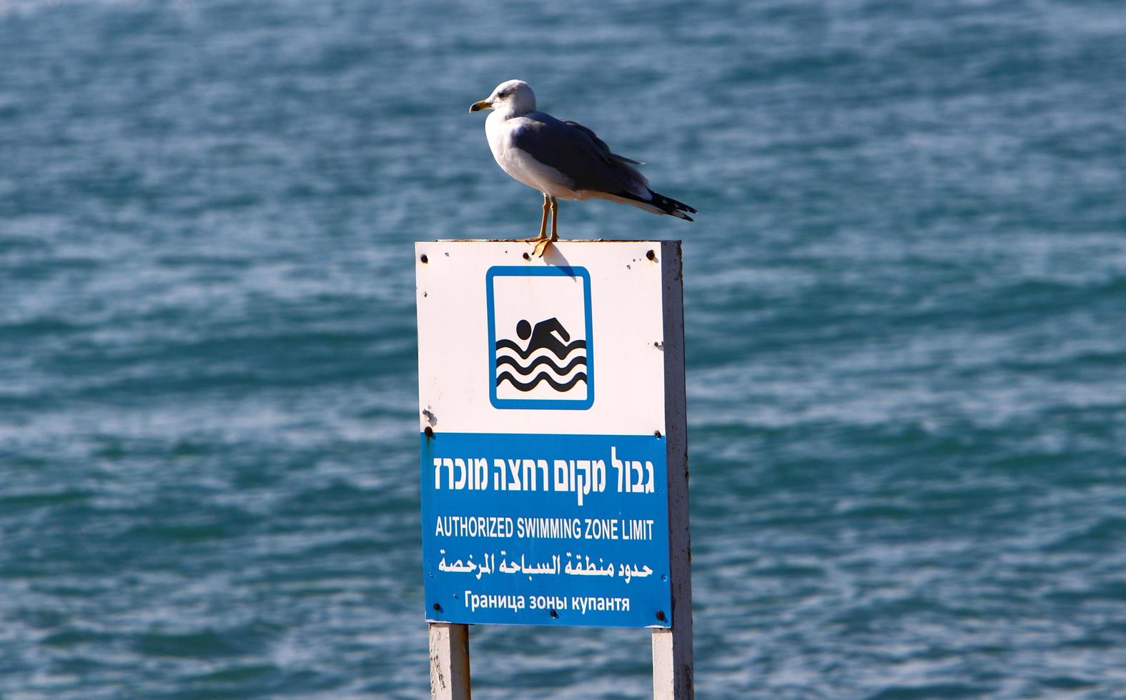 Nahariya Israel May 15, 2019. Road signs and signs in Israel. photo