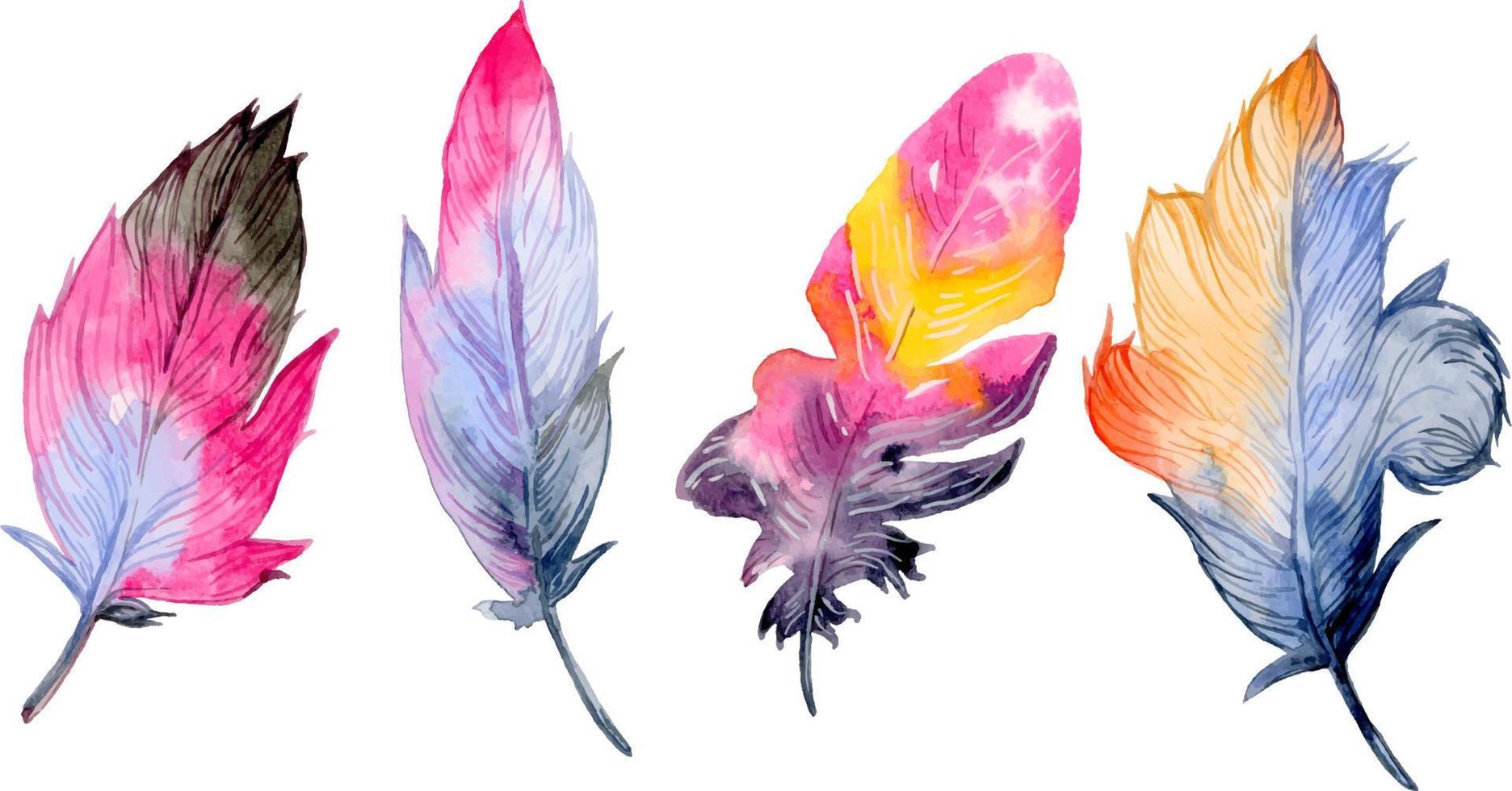 Bird feather element set. Hand drawn watercolor illustration. vector