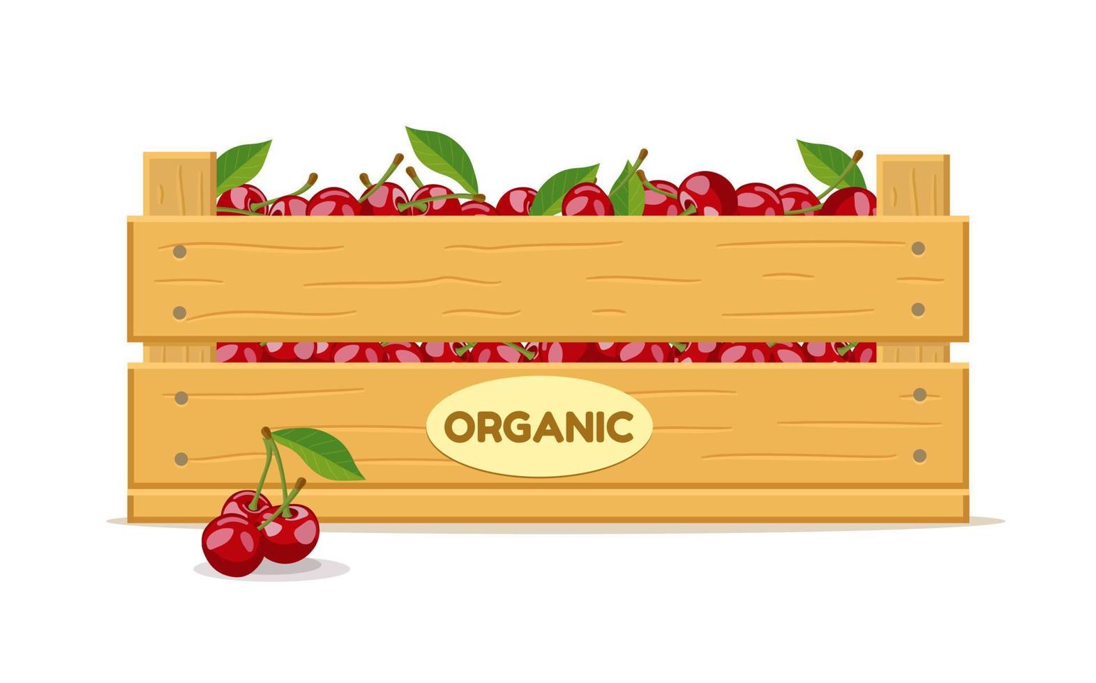 Wooden box with cherries. Fruit box icon. Vector illustration isolated on white background.