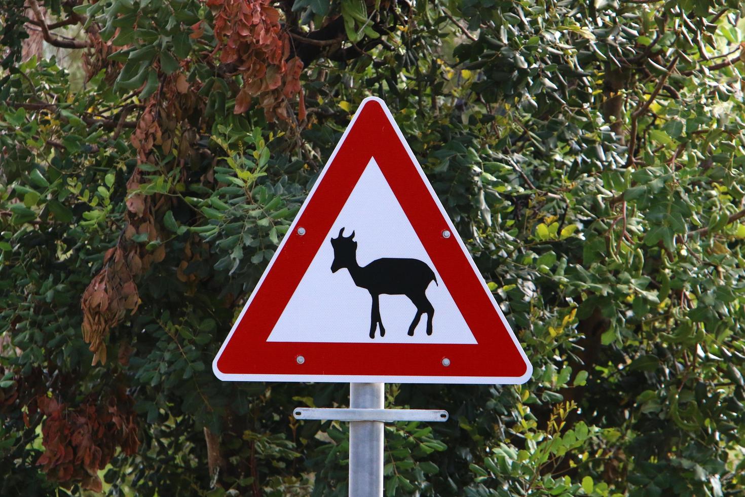 Nahariya Israel May 15, 2019. Road signs and signs in Israel. photo