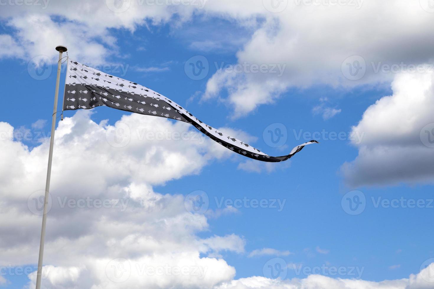 Flag of the Dukes of Brittany photo