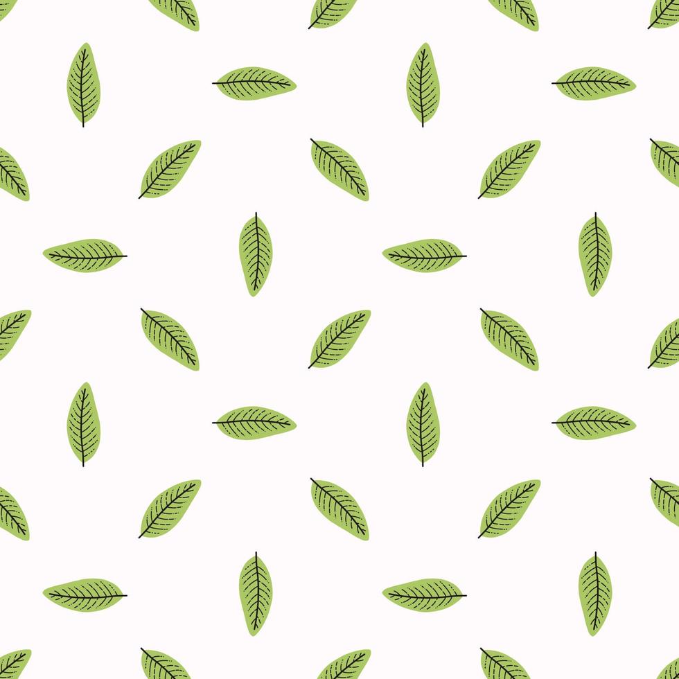 Vector seamless pattern with mint leaves.