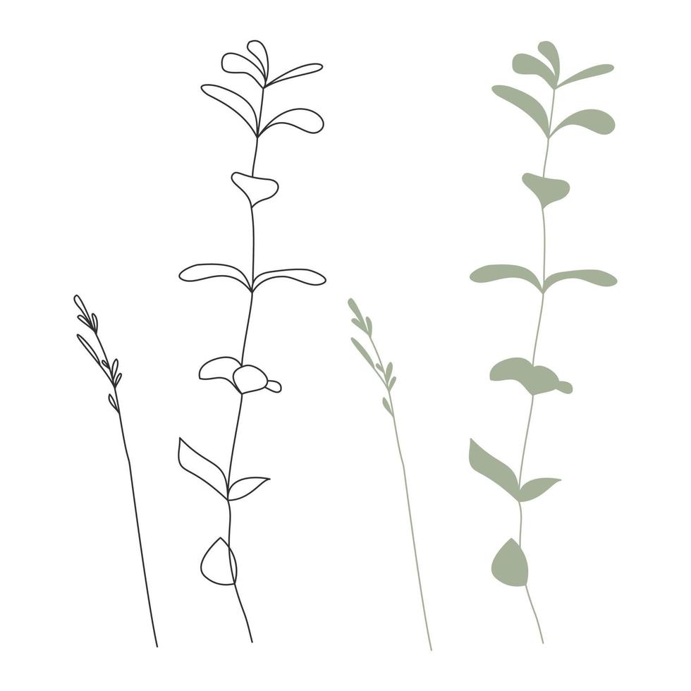 Vector illustration of herbs isolated on white background.