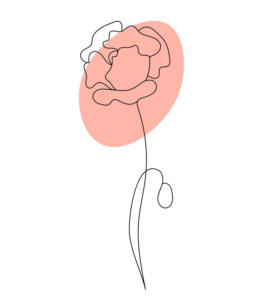 Outline poppy flower. Linear hand drawn minimalist drawing, continuous line. Vector illustration. Plant flower with bud and poppy head.