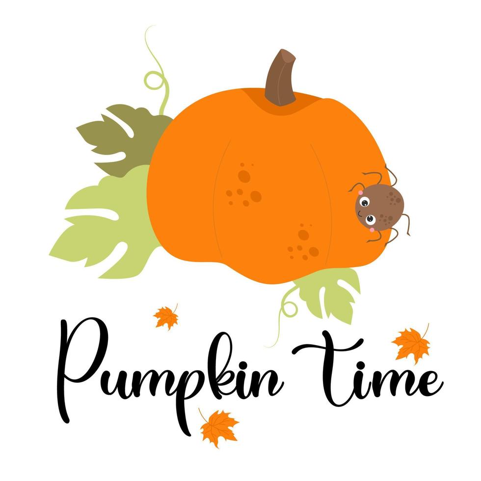 Autumn poster with orange pumpkin and cute spider. Vector illustration with fall vegetable and slogan - Pumpkin time on white background. Festive card for print, design, greeting cards, decor