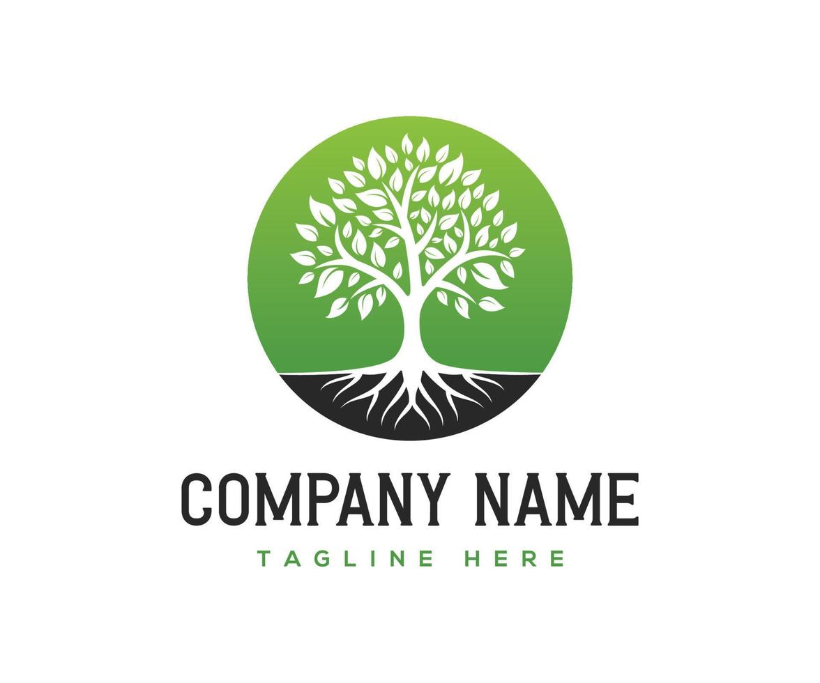 Root Of The Tree Logo Design Inspiration. Tree Logo. vector