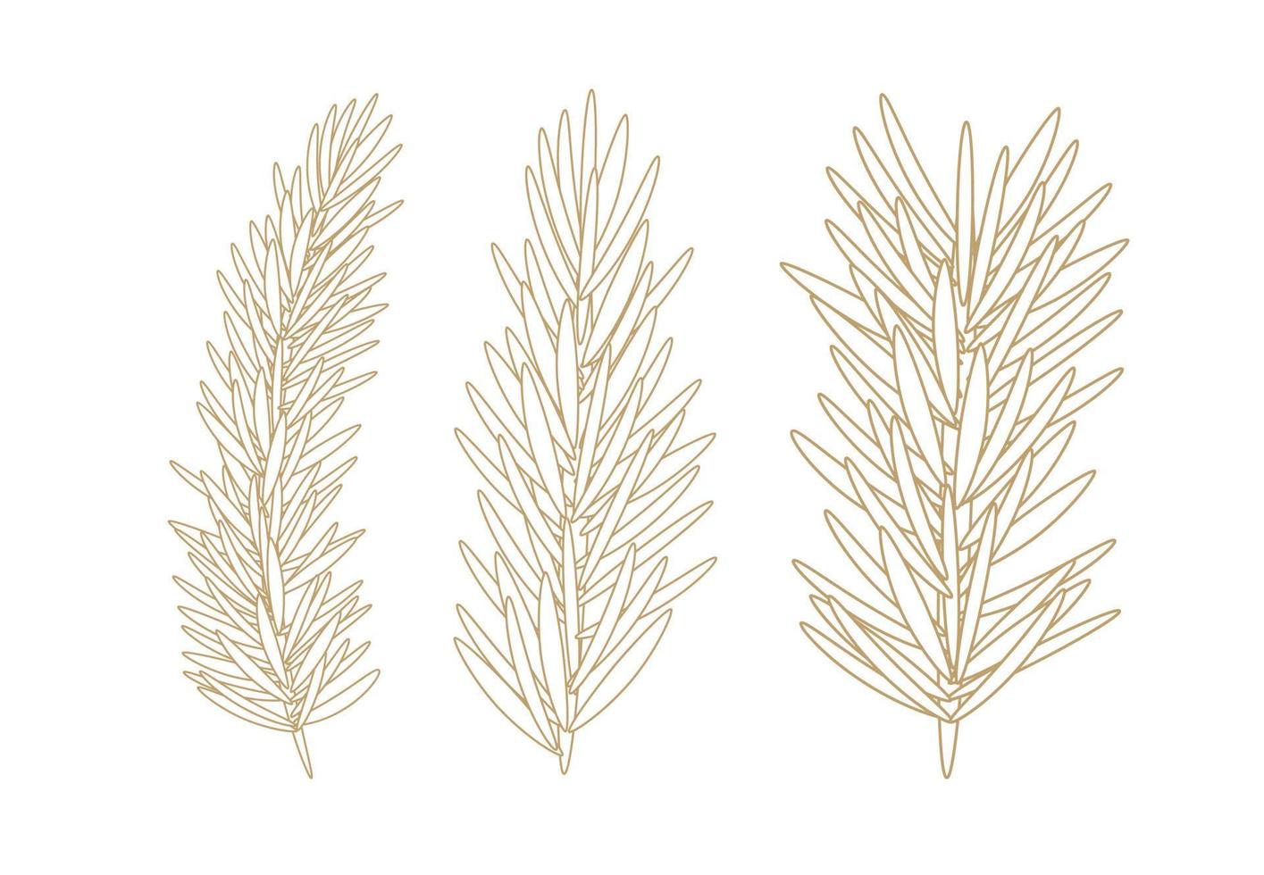 Golden Simple Line Fir Vector Illustration