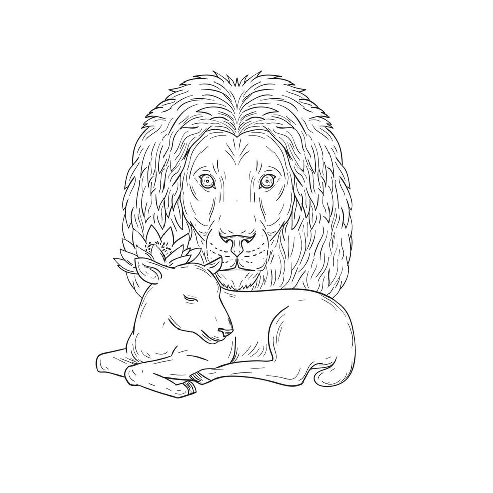 Lion Watching Over Sleeping Lamb Drawing vector