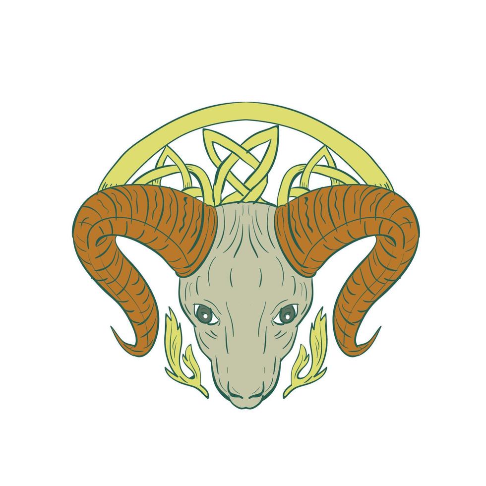 Ram Head Celtic Knot vector