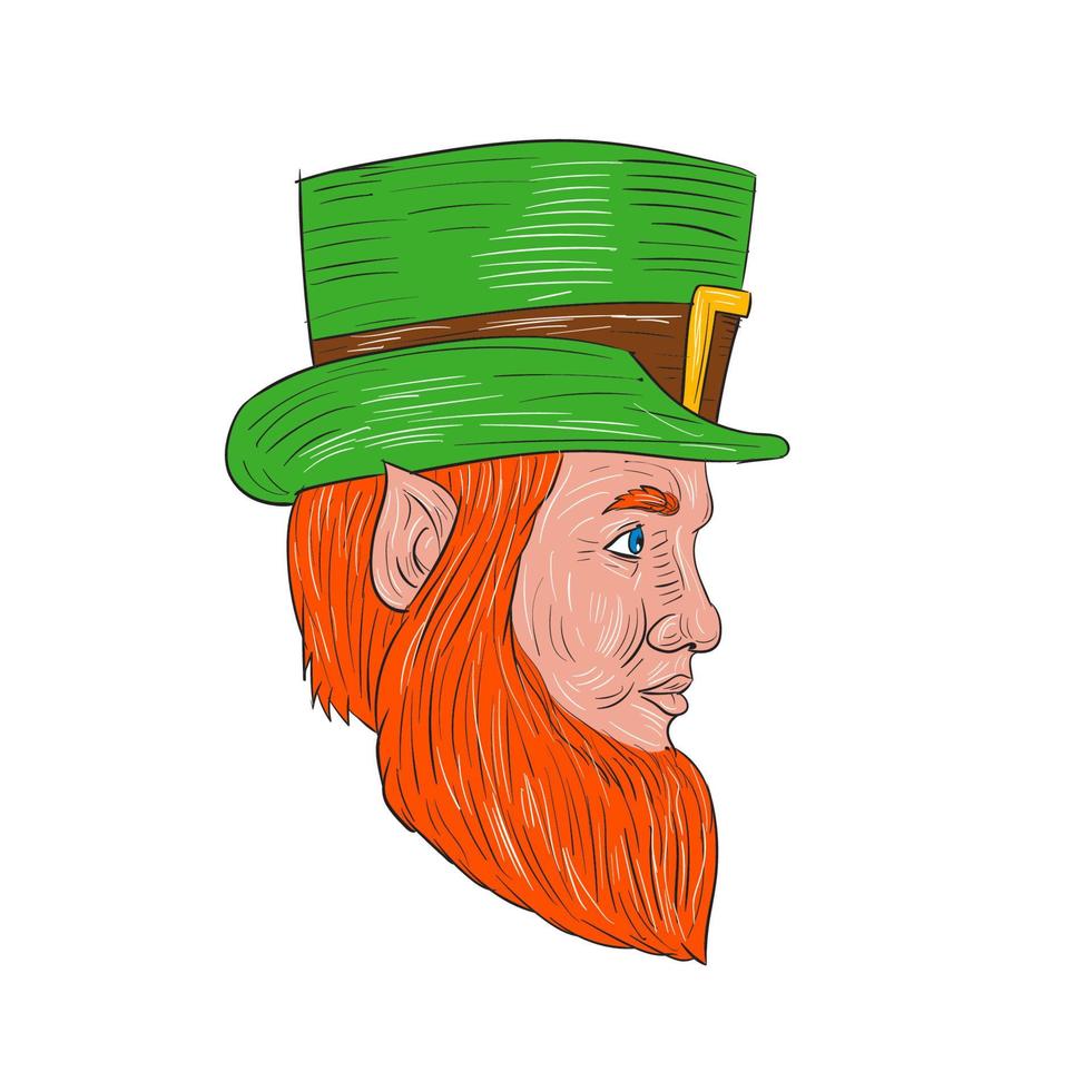 Leprechaun Head Side Drawing vector