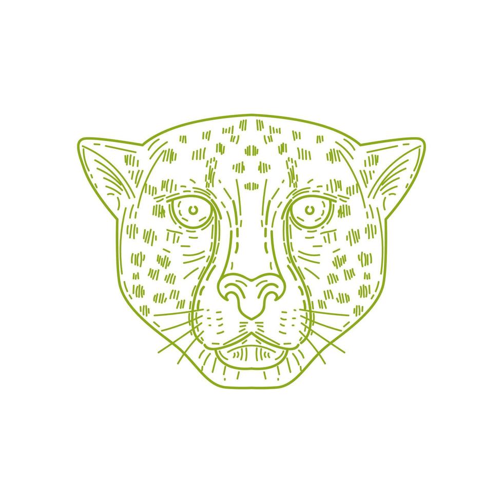 Cheetah Head Mono Line vector