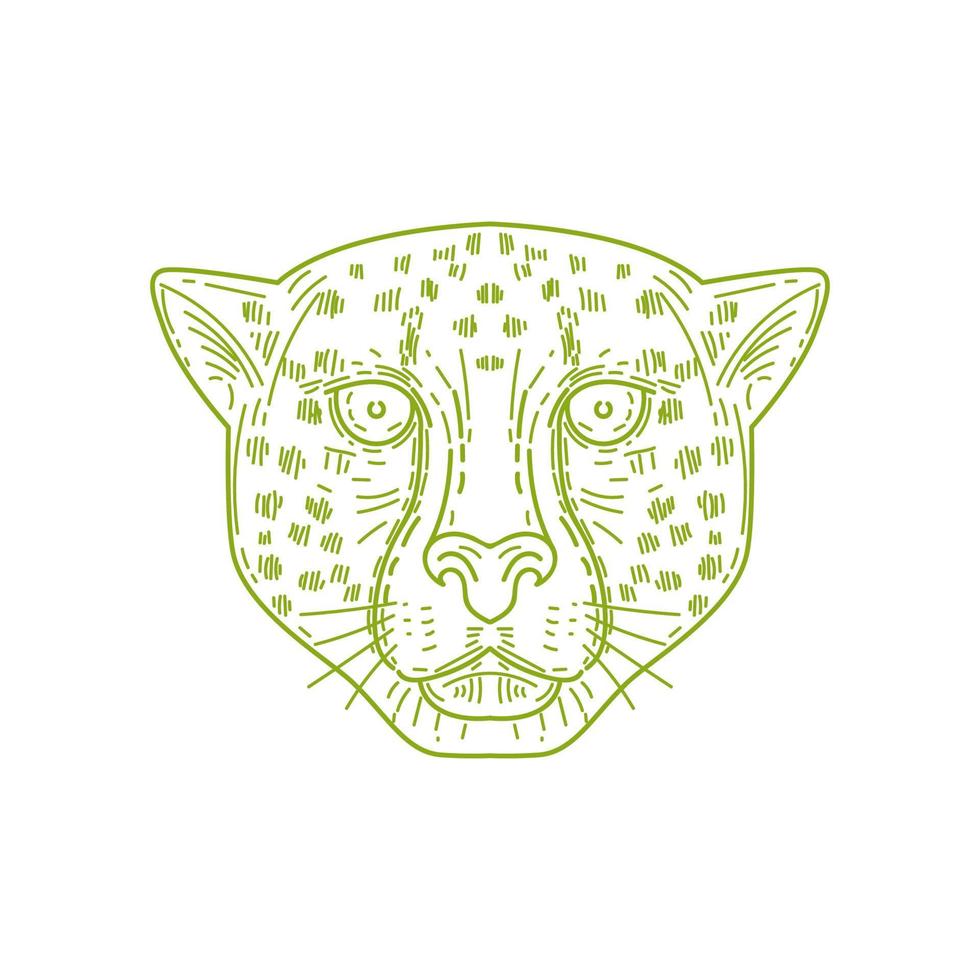 Cheetah Head Mono Line vector