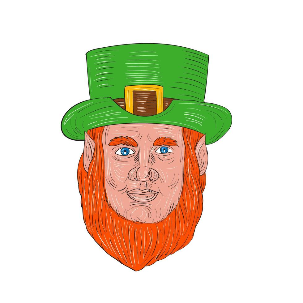 Leprechaun Head Front Drawing vector