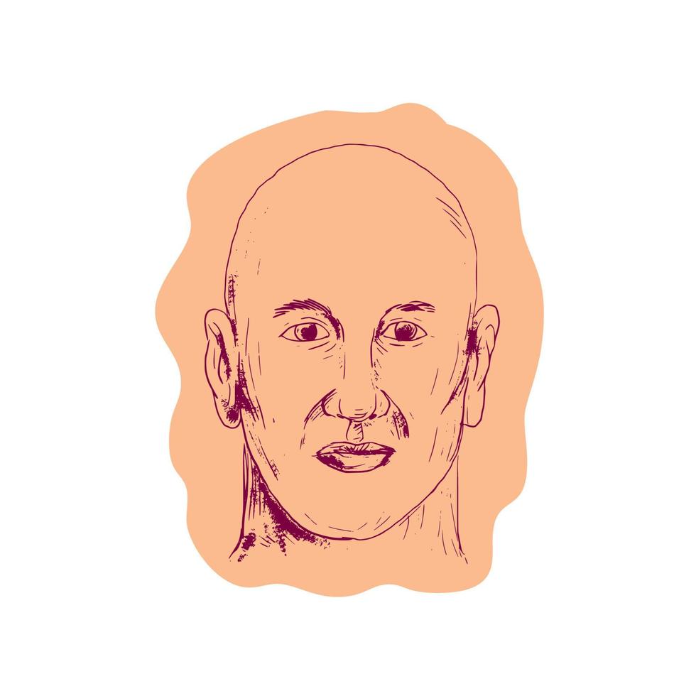 Bald Caucasian Male Head Drawing vector