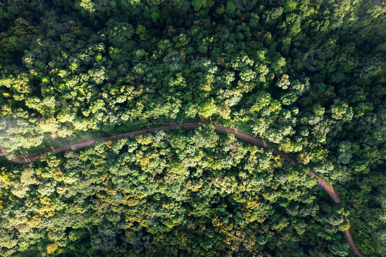 Aerial view road through green forest photo
