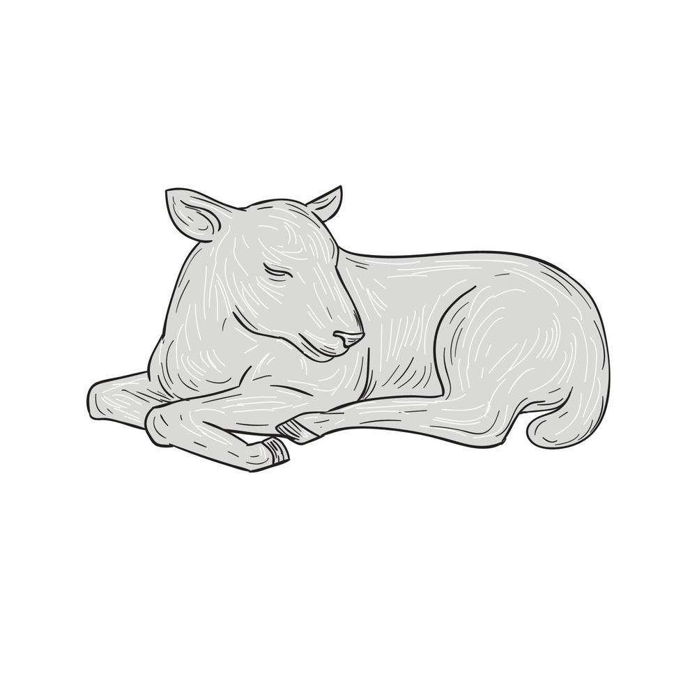Lamb Sleeping Drawing vector