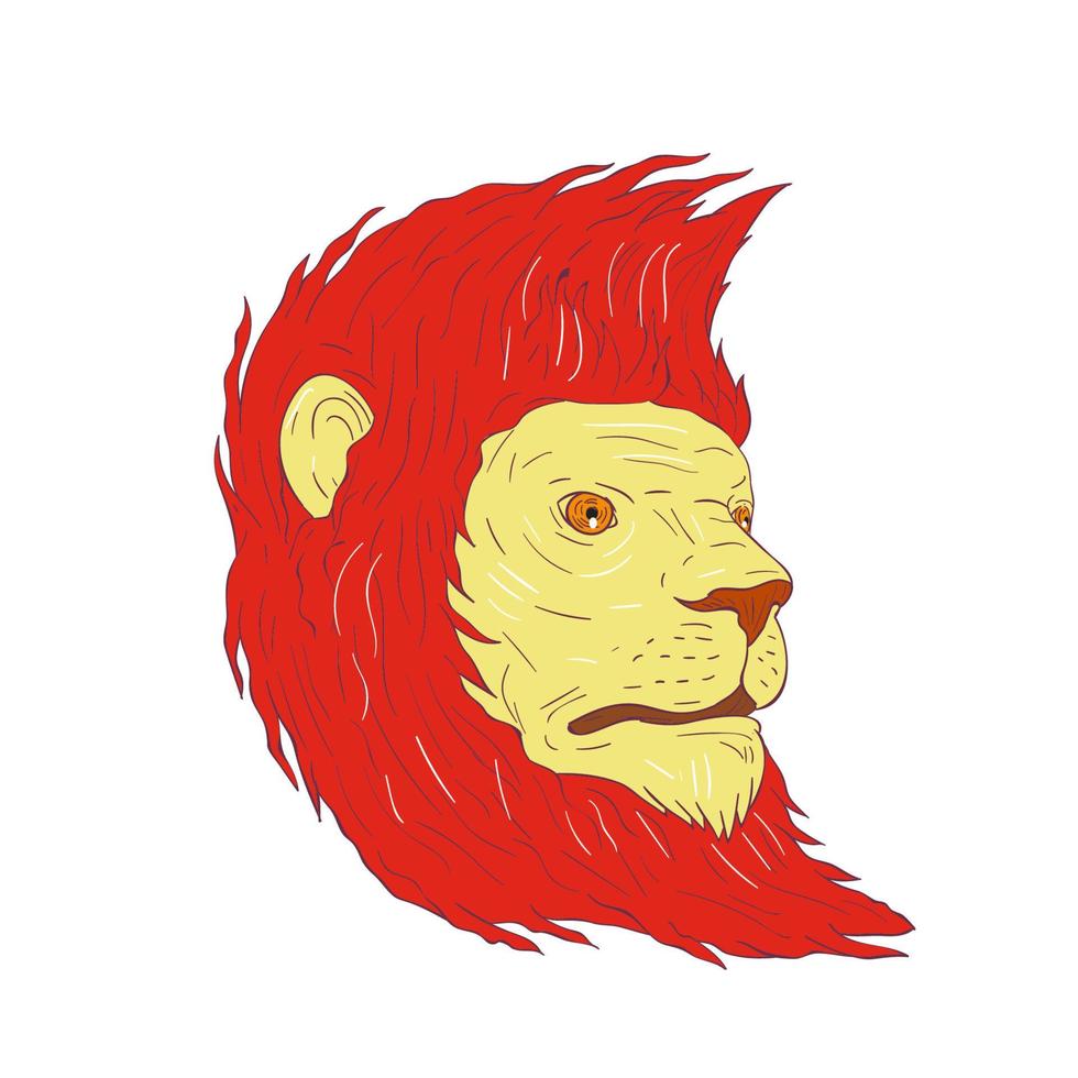 Lion Head With Flowing Mane Drawing vector