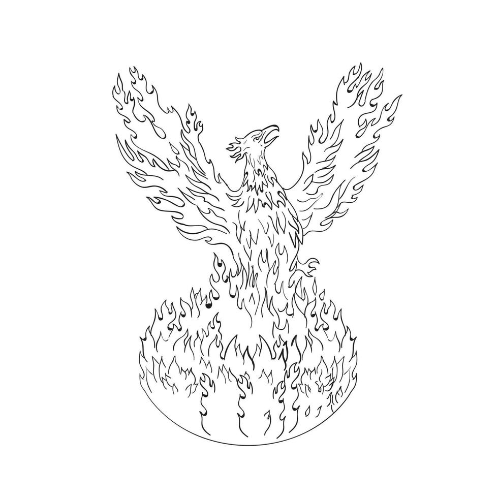 Phoenix Rising Fiery Flames Black and White Drawing 10629655 Vector Art