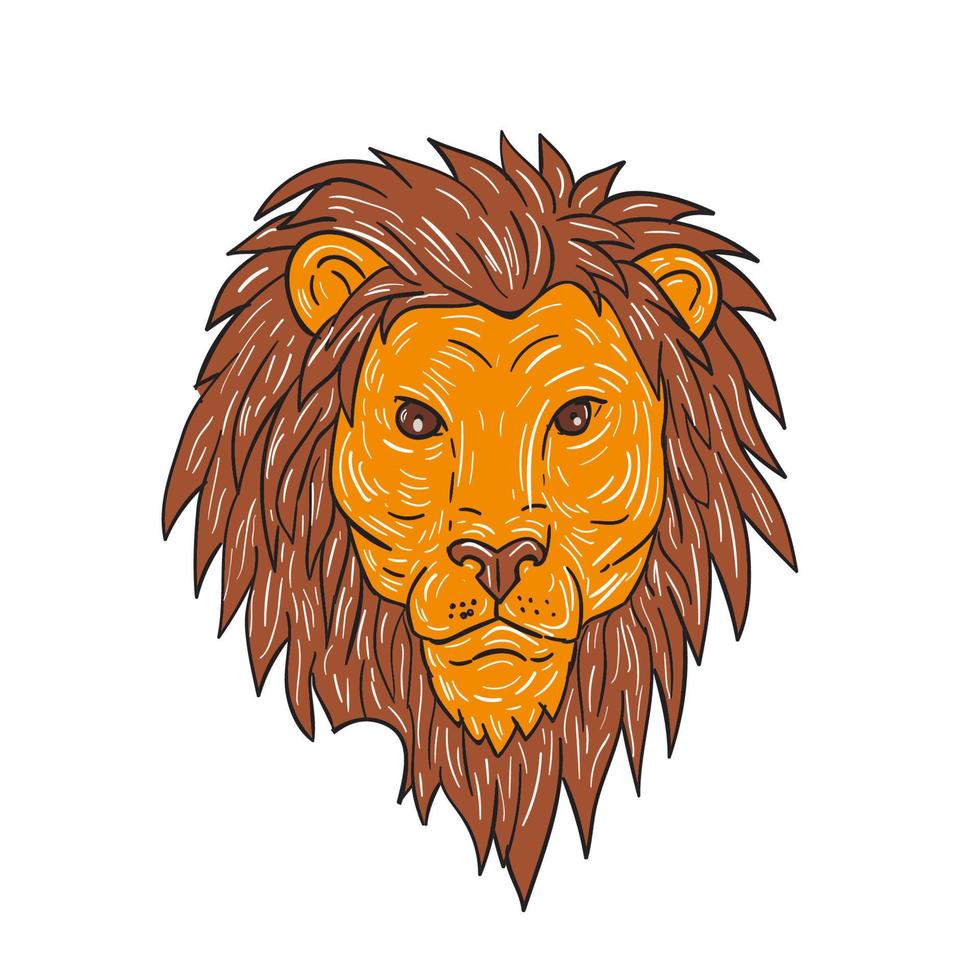 Male Lion Big Cat Head Drawing vector