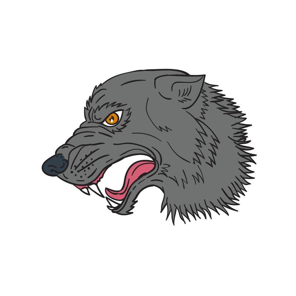 Grey Wolf Head Growling Drawing vector