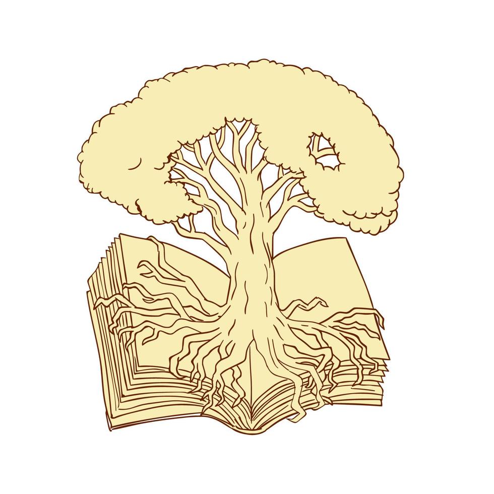 Oak Tree Rooted on Book Drawing vector