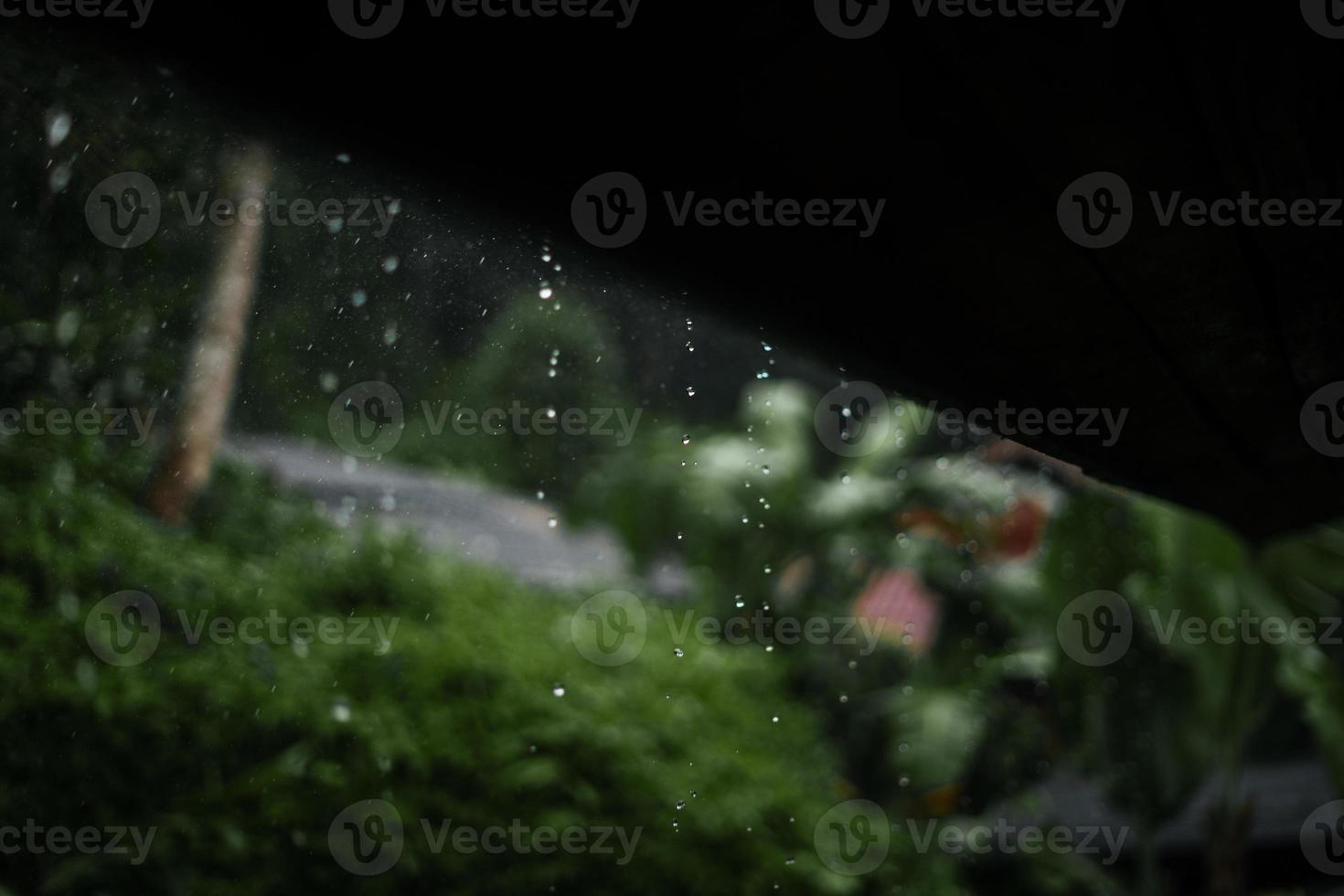 lluvia y hojas, gotas de agua en un día lluvioso foto